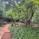 용인한빛중학교 이미지