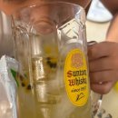 준테라스 이미지