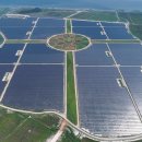 해바라기태양광발전소 이미지