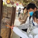 새소리농장 이미지