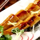 청정장어 이미지