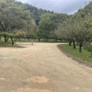 황토오리 | [대구 핫플레이스] 포춘황토오리구이 인생맛집 후기🔥 | 내돈내산 오리백숙