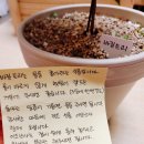 비비플랜트 이미지