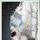 바다참사랑