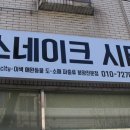 스네이크시티