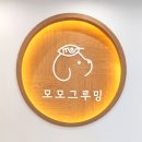 모모그루밍 이미지