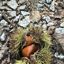 선산대로10-22 이미지