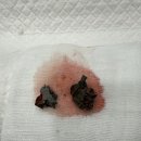 동물병원 더 하임 이미지