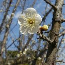 초의선사탄생지(1) 이미지