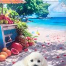 비비펫살롱 이미지