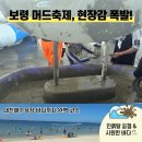 울동네축제 <범서선바위축제> | 보령 대천해수욕장 물놀이부터 머드축제까지, 1박 2일 완벽 코스 여름휴가 후기
