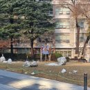 하나해바PC방 | 스물다섯 D-2x 구라핑 ?