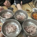 비학산 | 울산 북구 맛집 비학산 칼국수 내돈내산 솔직후기