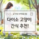 캣쮸 | [다이소 고양이 간식] 반려묘 가성비 좋은 간식 추천 및 솔직 후기 보기