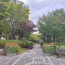 가좌이음숲 이미지