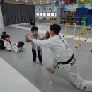 용인대다사랑태권도 이미지