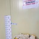 서울바다낚시터 이미지