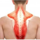 대림프라자(당동) 이미지