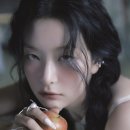 슬기비디오 이미지