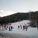 휘닉스파크 이미지