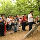 신부화원