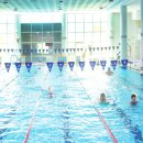 고창군 청소년수련관 실내수영장 이미지