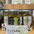 기념품의신 | 시즈오카 기념품 쇼핑 타마루야 본점 위치 제품 가격 상세 후기
