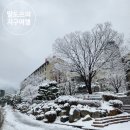 동국빨래방 | [공지] [울진] 겨울 백암온천 _ LG생활연수원 후기/온정면,백암산,백암사
