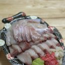 정훈환경 | 수원 인계동 횟집 두툼한 회 맛집 정훈수산 방어 광어 배달 후기 내돈내산