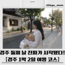 경주 1박 2일 코스 추천｜처음 가는 사람도 알차게 도는 필수 여행지