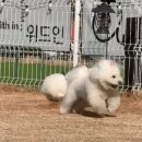 미소 이미지