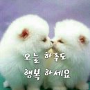 부광부동산공인중개사사무소 이미지