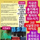 그래출판