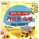 2023 화순 고인돌 가을꽃 축제(화순국화향연) 이미지