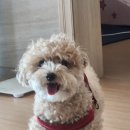 나정푸드 이미지