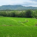 구룡농장 이미지