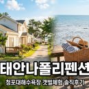 태안나폴리펜션 솔직후기, 청포대해수욕장 갯벌체험 여행