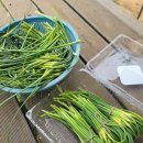 무원농장 이미지