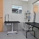 더펫살롱 이미지