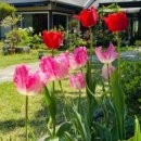 카페그곳 이미지