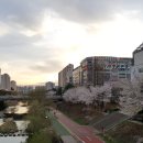 의정부경전철 경기도청북부청사역 이미지