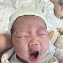 골드맘