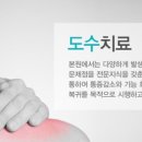 새롬의원 이미지