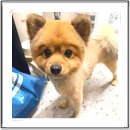 아이조아요양보호소 안양점 이미지