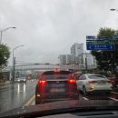 러블리 멍멍이 | 분당 눈썹 잔흔 제거 내돈내산 미금역 브로우원 후기