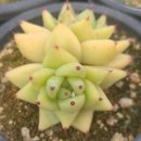 동운농장 이미지