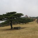 소호목장 2 이미지