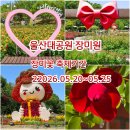 기린종합상사 | 1508.울산대공원 장미원