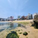 송정해수욕장 주차장 이미지