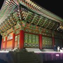 선운민박 | 제주 한림 맛집 뷰가 좋은 바다이야기 방문후기